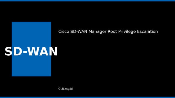 Dua Celah Jaringan Enterprise Terungkap, Arista EOS dan Cisco SD-WAN Masuk Daftar Darurat CISA